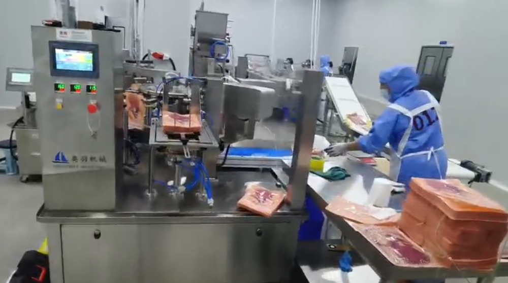 八工位给袋式包装机如何实现和单头伺服定量灌装机达到速度匹配