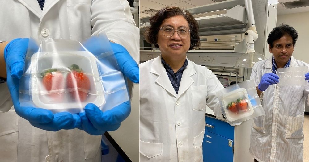 可生物降解的柔性食品包装_https://www.aoyuzdh.cn_新闻资讯_第1张