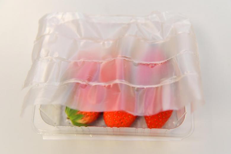 可生物降解的柔性食品包装_https://www.aoyuzdh.cn_新闻资讯_第2张
